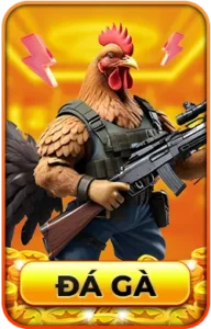 đá gà 789win